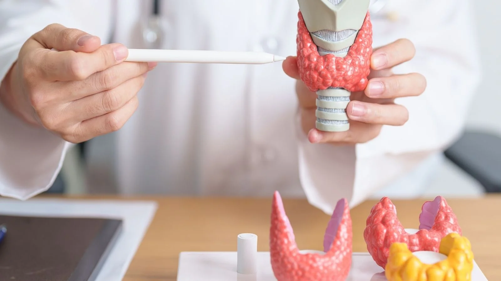 Benefits of Embolization for Thyroid Goiter Patients